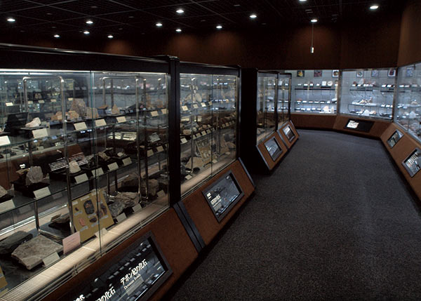 第4展示室では、岩石・鉱物・化石の分類展示や新着標本を見ることが出来ます。