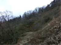 写真1 中谷川左岸の地すべり(カクレ沢地すべり)の主滑落崖頭部
