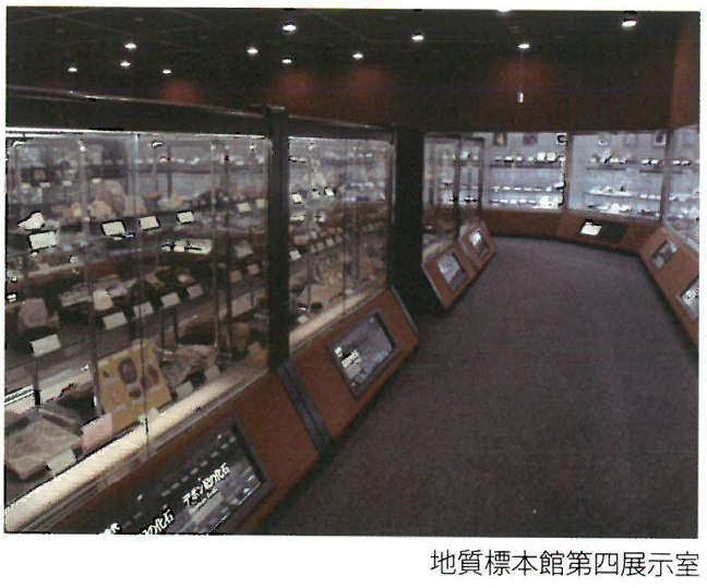 地質情報基盤センター 地質標本館