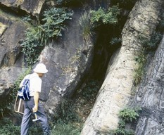 Parallel unconformity within Paleozoic rocks in the Sino-Korean Massif.