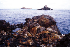 Altered volcanic rocks of Tokara-Hirase, Kagoshima Prefecture.