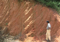 Weathered crust of granite abundant in rare earth elements (REE) in Laos.