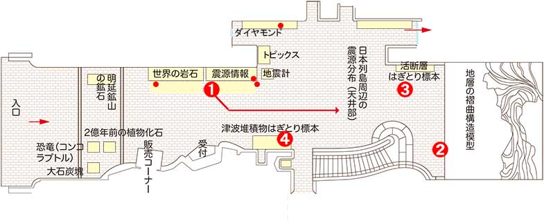 ホール展示