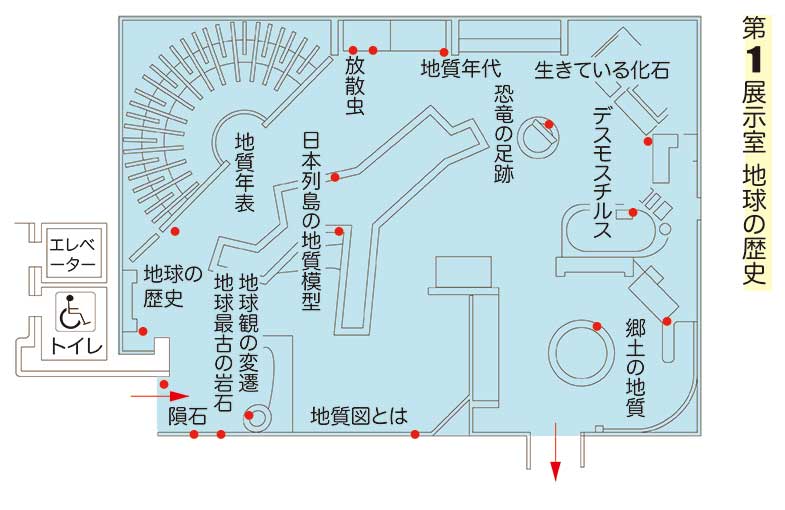 第一展示室内の配置