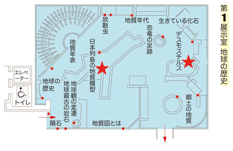 第一展示室内の配置