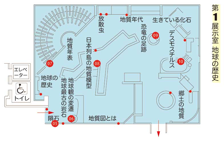 第一展示室内の配置
