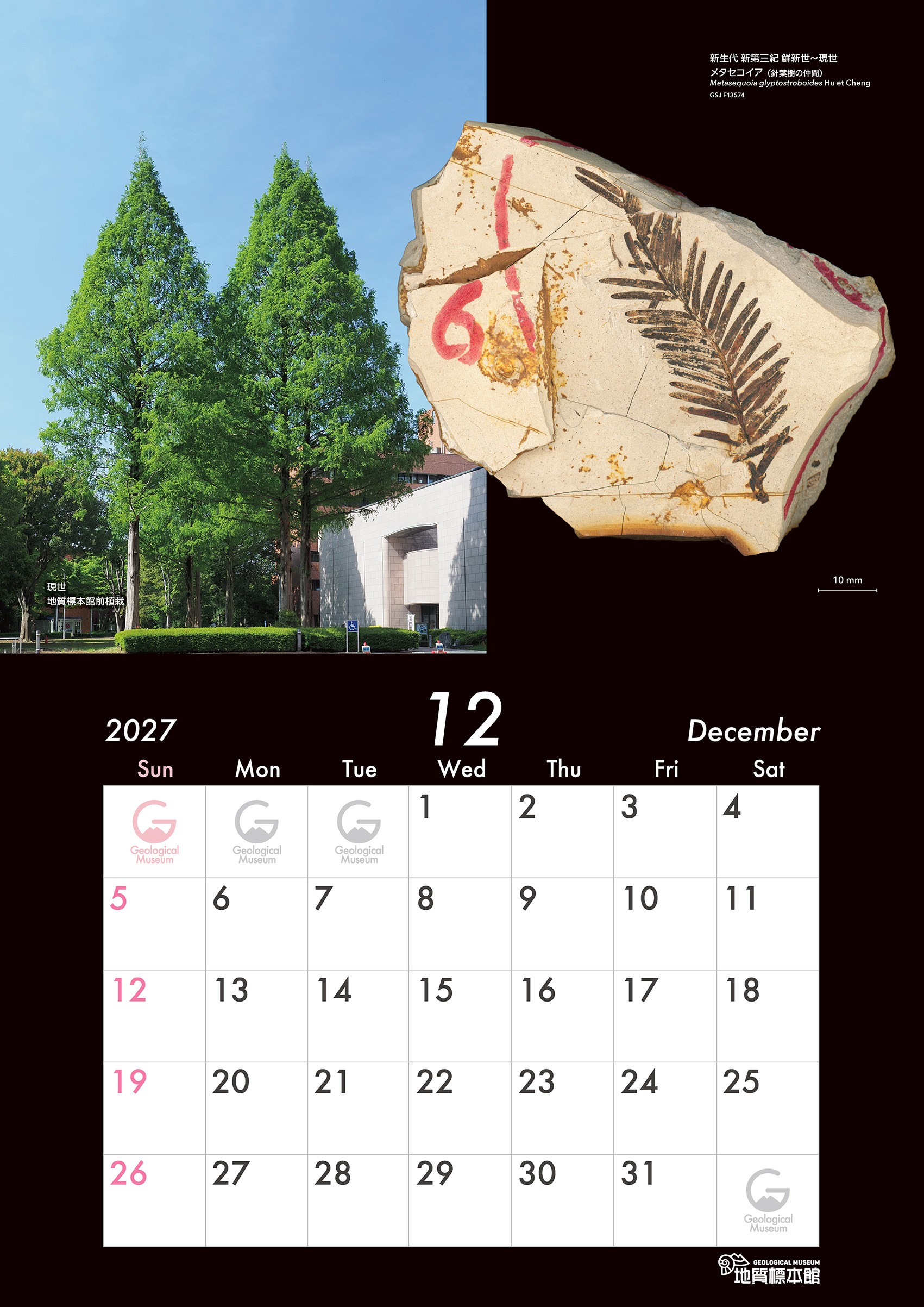 地質標本館オリジナルカレンダー（2027年）
