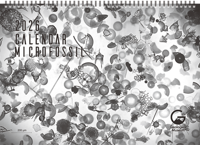 地質標本館オリジナルカレンダー（2026年）