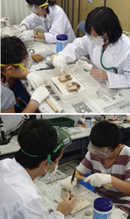 地質標本館　夏休み化石クリーニング体験教室2015