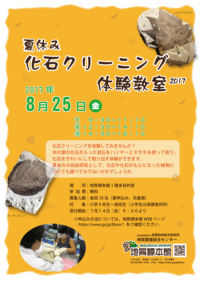 地質標本館　夏休み化石クリーニング体験教室2017