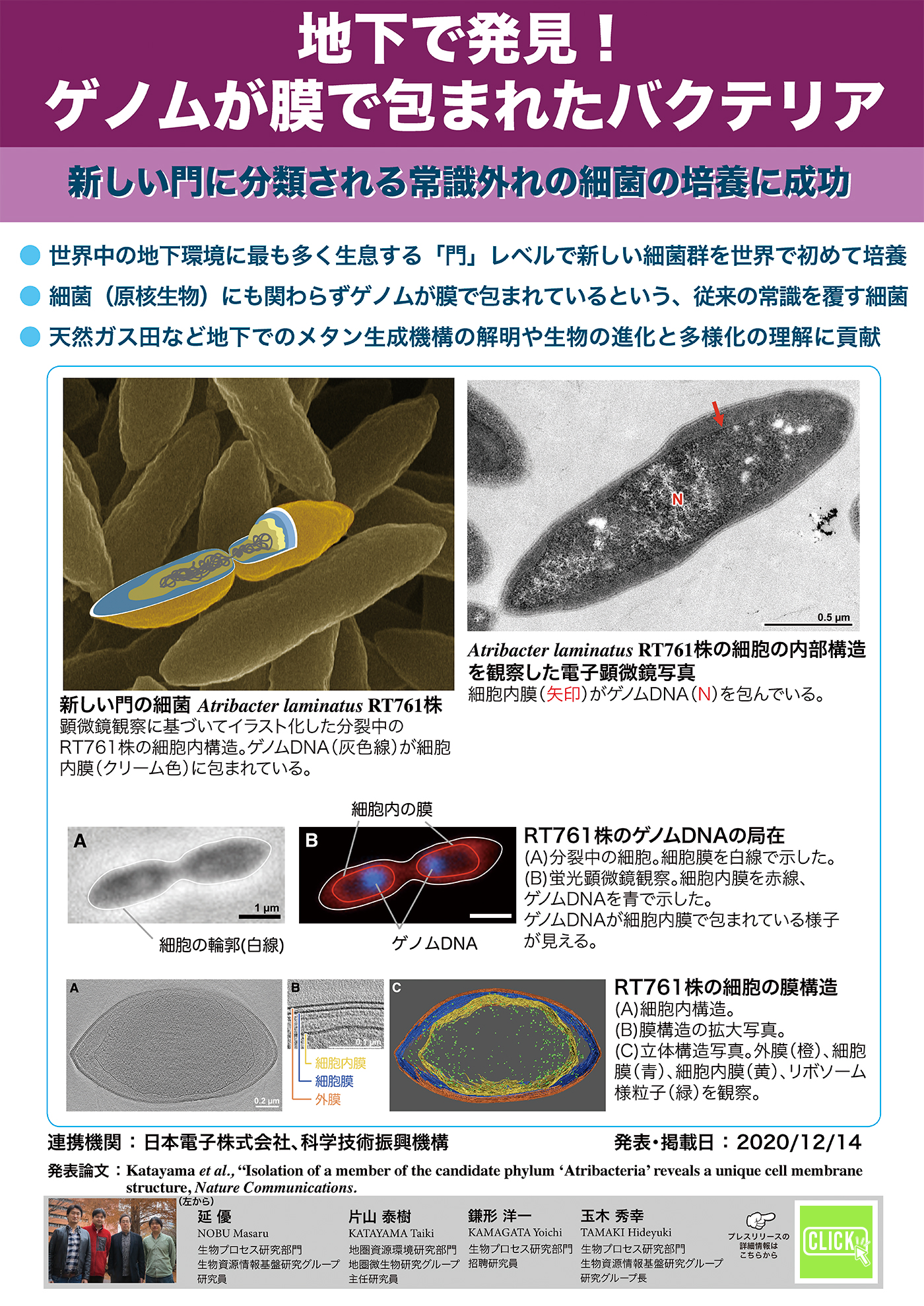 地下で発見！ゲノムが膜で包まれたバクテリア