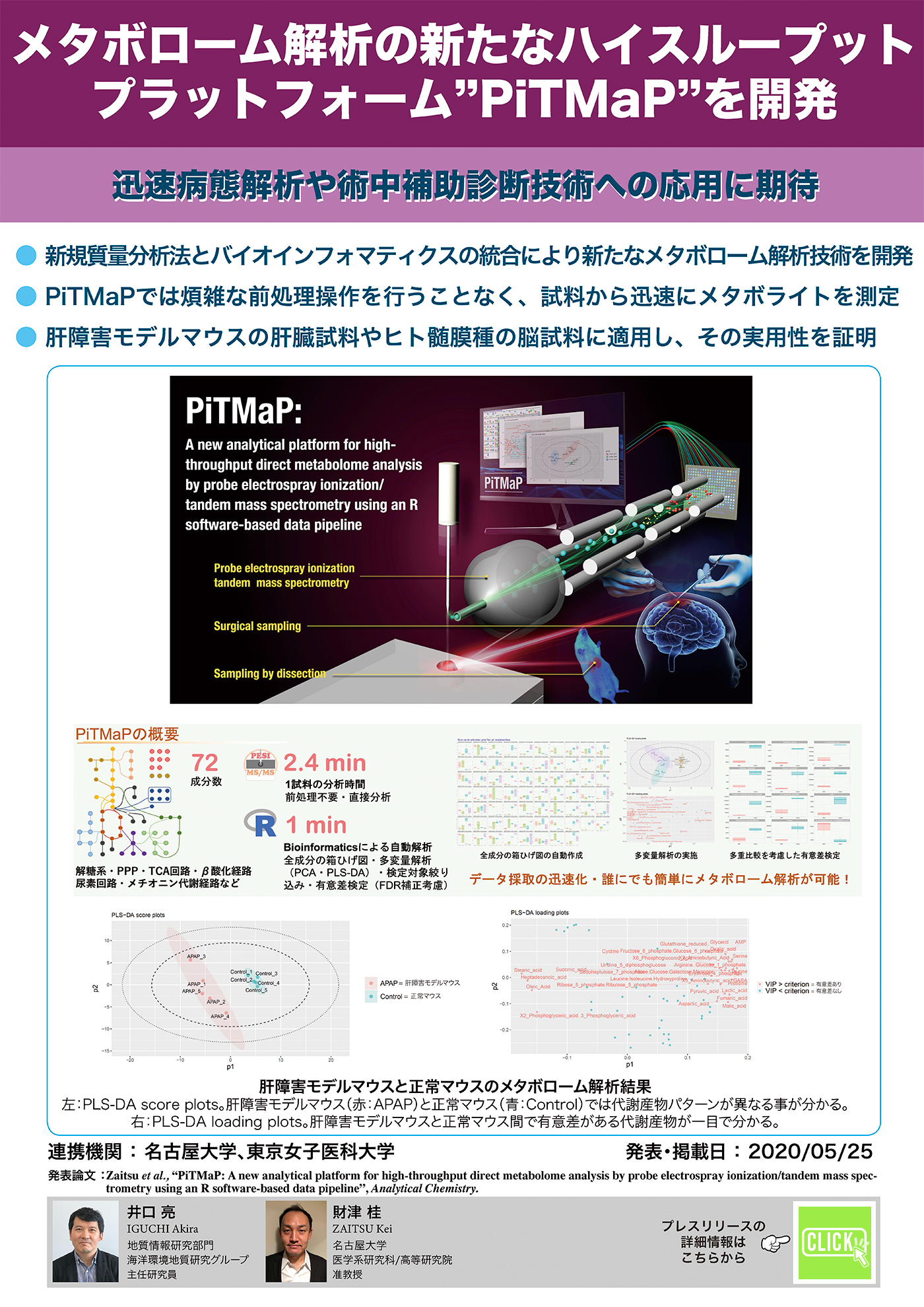 メタボローム解析の新たなハイスループット・プラットフォーム“PiTMaP”を開発