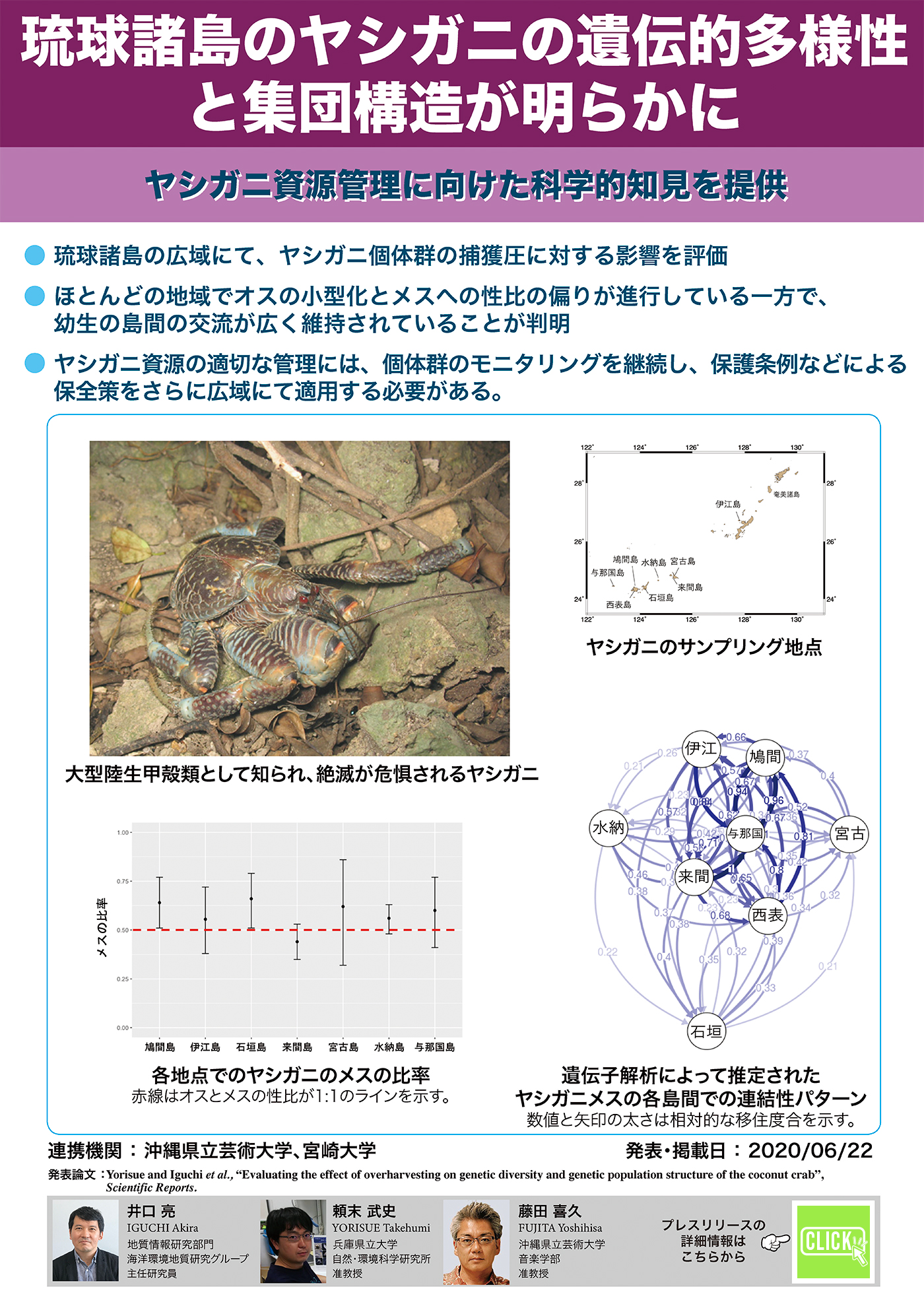 琉球諸島のヤシガニの遺伝的多様性と集団構造が明らかに