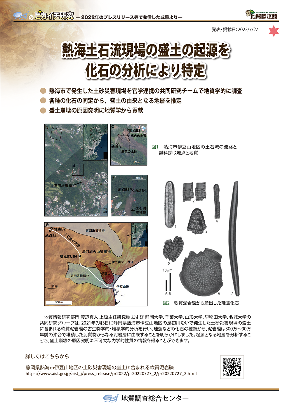 熱海土石流現場の盛土の起源を化石の分析により特定