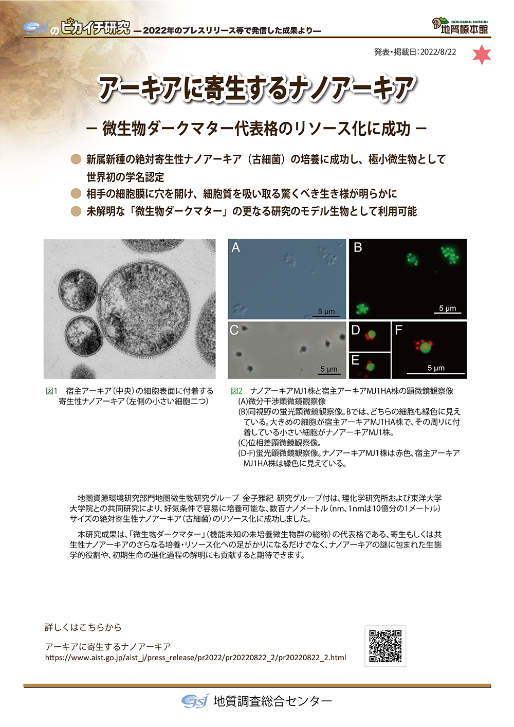 アーキアに寄生するナノアーキア
－微生物ダークマター代表格のリソース化に成功－