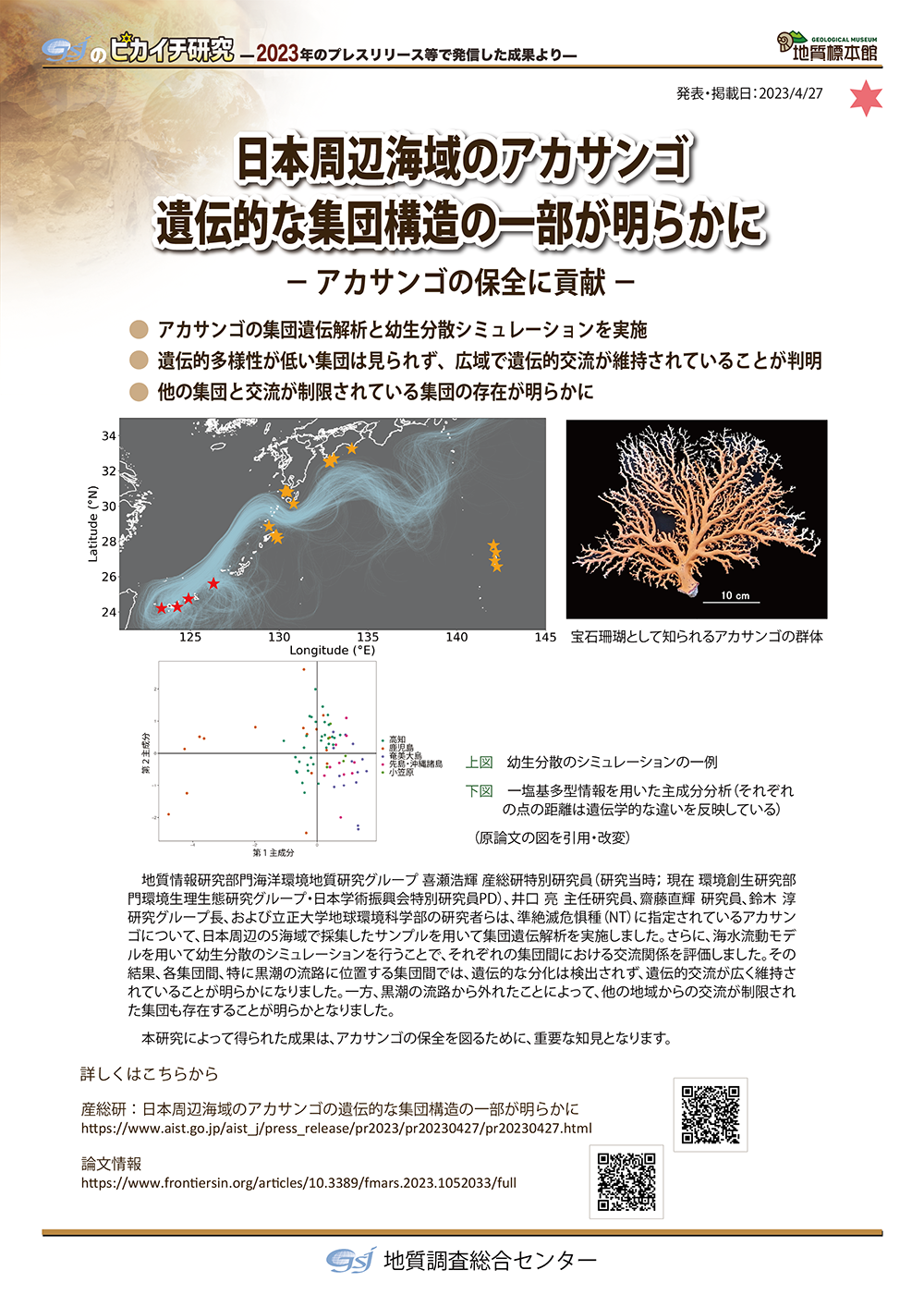 日本周辺海域のアカサンゴ　遺伝的な集団構造の一部が明らかに