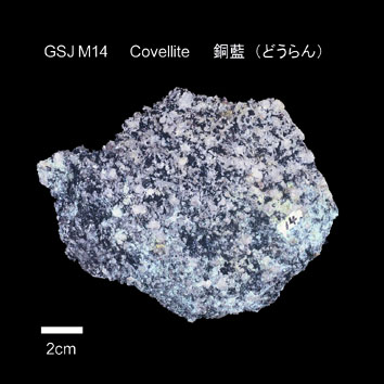 Covellite