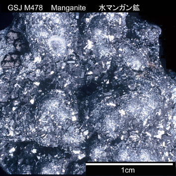 Manganite