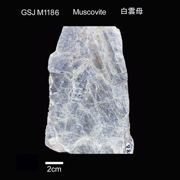 Muscovite