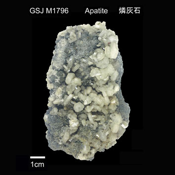 Apatite