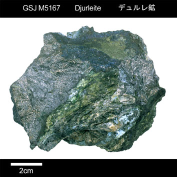 Djurleite