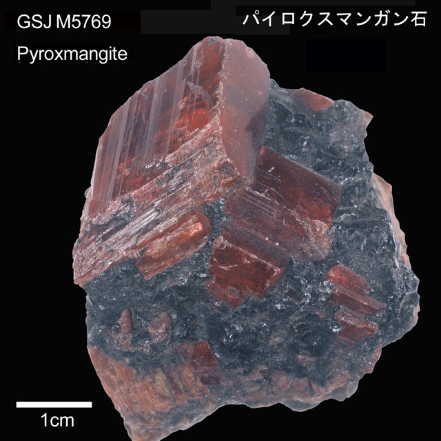 鉱物標本 / パイロクスマンガン石 | 地質標本鑑賞会
