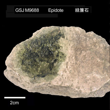 Epidote