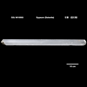 Gypsum (Selenite)