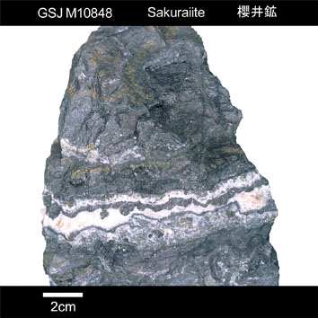  Sakuraiite