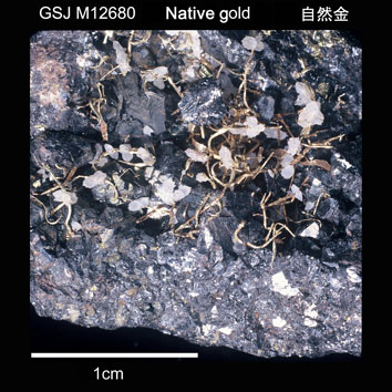 Native gold