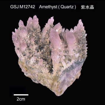 (Quartz) Amethyst 