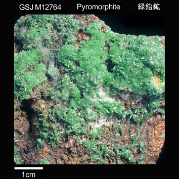 Pyromorphite