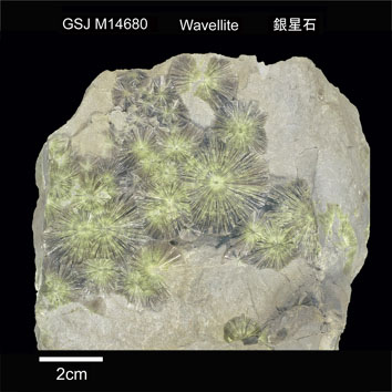 Wavellite