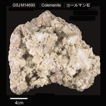 Colemanite