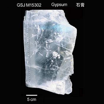 Gypsum