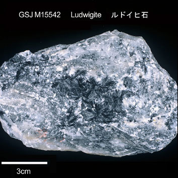 Ludwigite