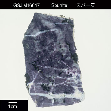 Spurrite