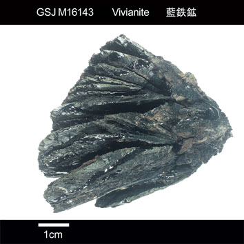 Vivianite