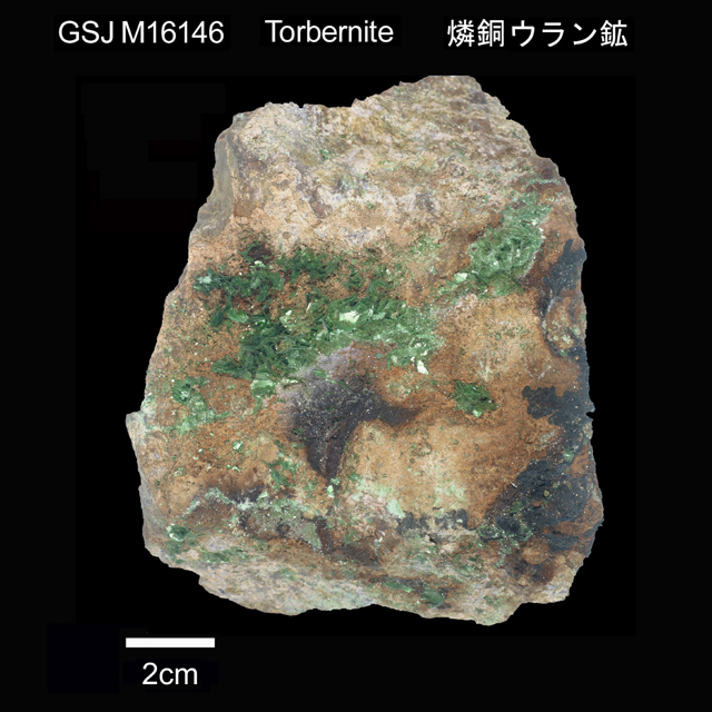 燐銅ウラン鉱