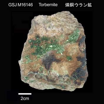 Torbernite