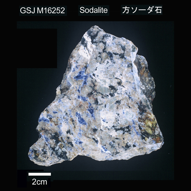 鉱物標本 / 方ソーダ石 | 地質標本鑑賞会