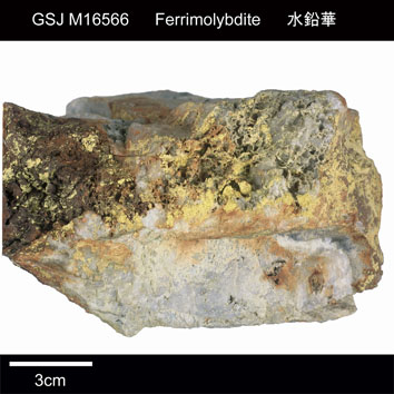 Ferrimolybdite