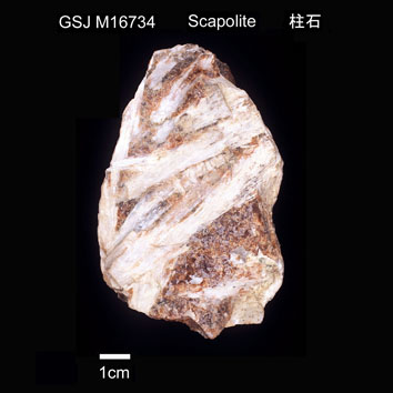 Scapolite