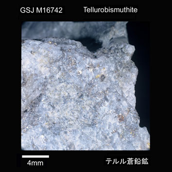 Tellurobismuthite