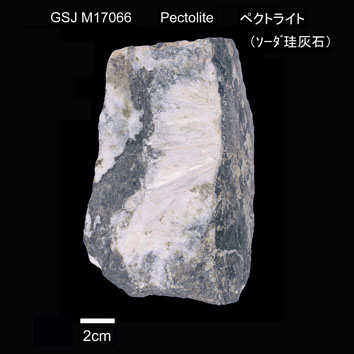 Pectolite