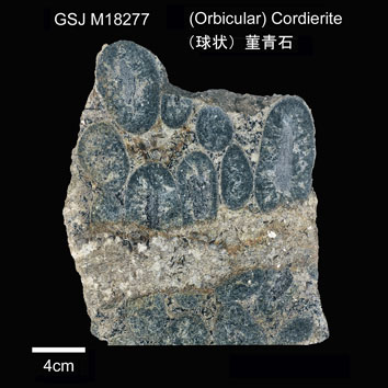 Cordierite (Orbicular) 