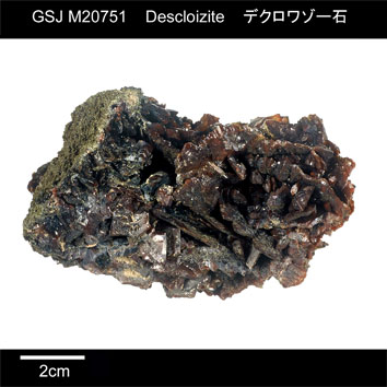 Descloizite