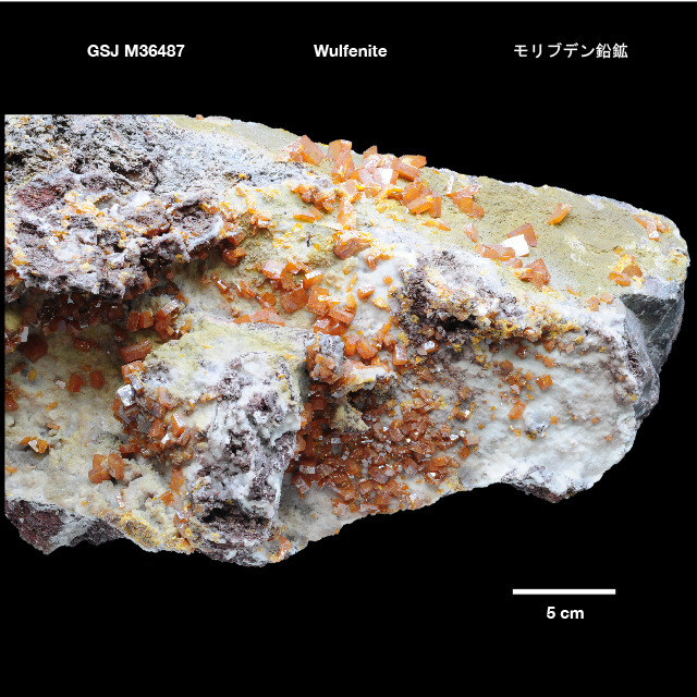 Wulfenite