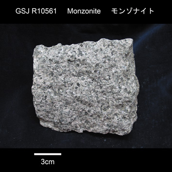 中粒カミングトン閃石含有普通輝石黒雲母角閃石石英モンゾニ岩