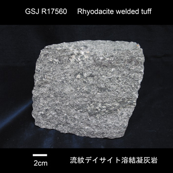 流紋デイサイト溶結凝灰岩